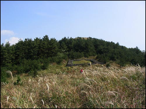 밭을 가로질러 철조망을 뚫고 오름 속살에 들어가면 묘지가 있다. 